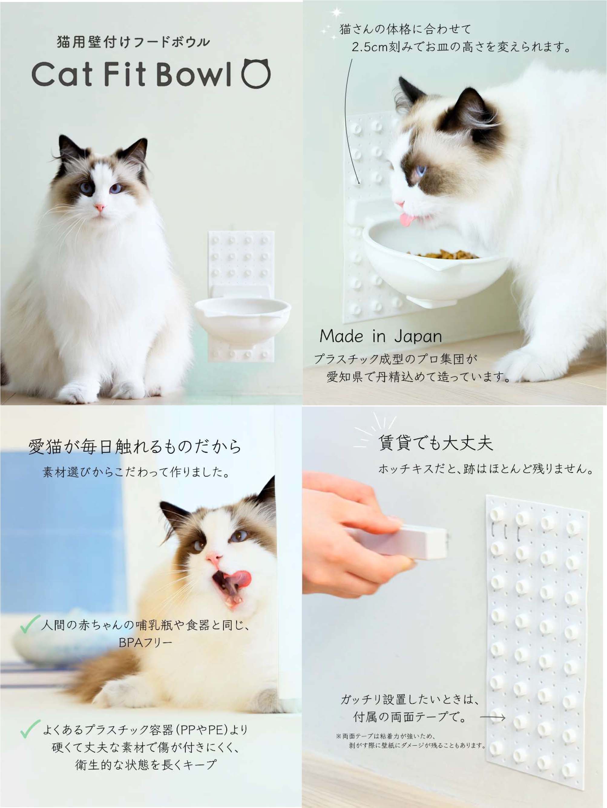 Cat Fit Bowl